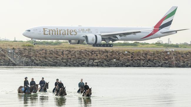 An Emirates plane taxis along the runway of Sydney International Airport as horses and riders are seen swimming at Botany Bay on Wednesday. Picture: Getty Images