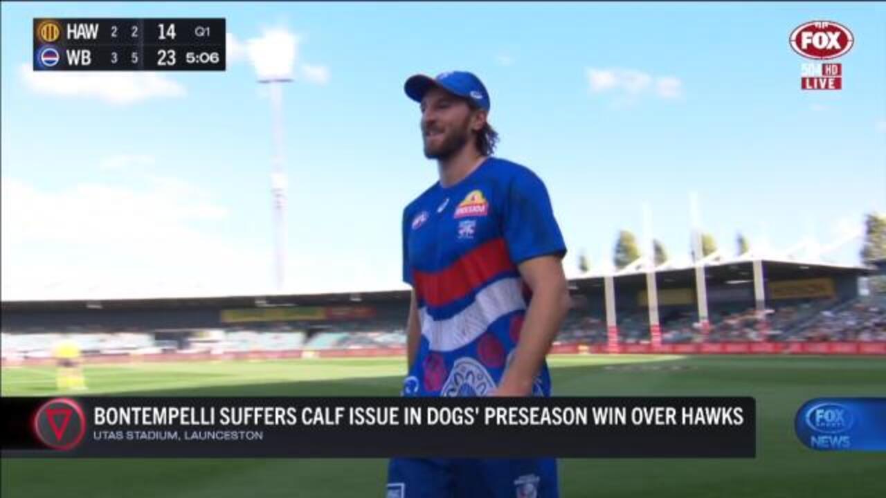 Injuries for Dogs, Crows down Premiers