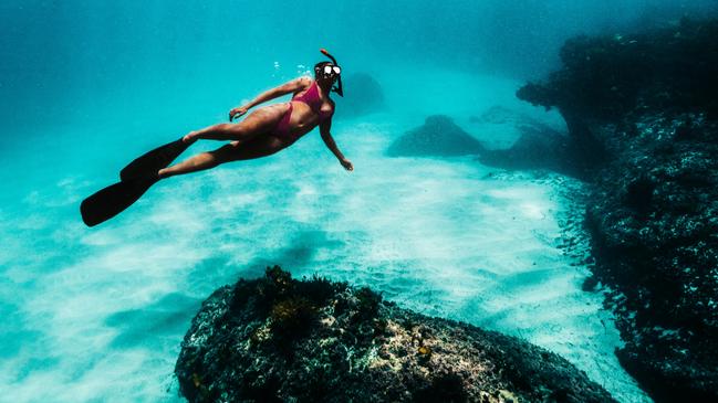 Cassie surveys some of the underwater soot while snorkelling. Picture: Joshua Burkinshaw