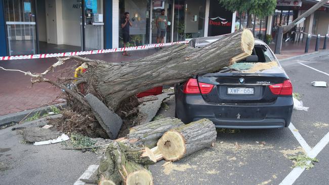 Storm damage in Clayton Rd, Clayton. Picture: David Crosling