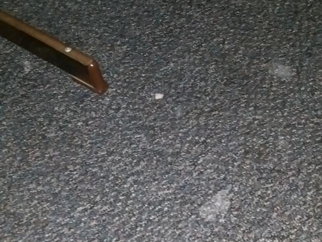 The carpet was covered in stains.