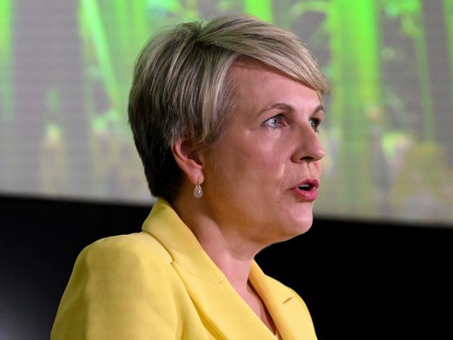 Tanya Plibersek. Picture: Dan Peled