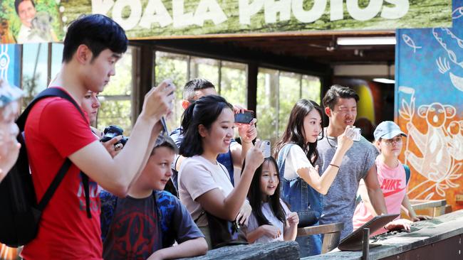 Chinese tourists at Dreamworld Picture: NIGEL HALLETT