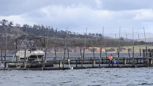 A Huon Aquaculture offshore sea pen in Storm Bay. Huon and Tassal could soon expand their operations in the Bay.