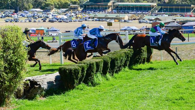 The jump known as ‘The Fallen Log’ at Oakbank is one of the most famous landmarks on any racetrack in Australia. Photo: Brenton Edwards.