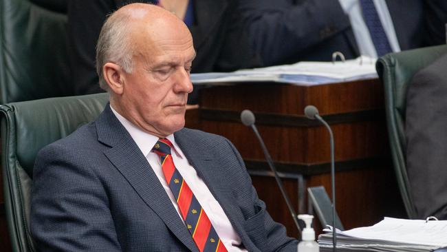 Minister Eric Abetz in Parliament on Tuesday 19th November 2024. Picture: Linda Higginson