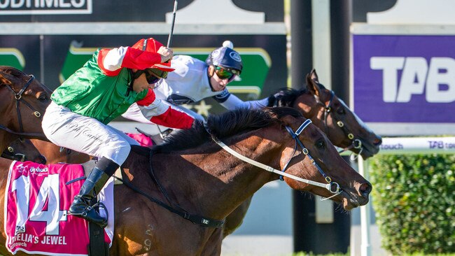 Overpass defeats Amelia's Jewel in a remarkable photo finish to the inaugural The Quokka in 2023 Picture: Western Race Pix