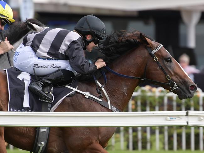 Rachel King takes Splintex home along the fence. Picture: AAP