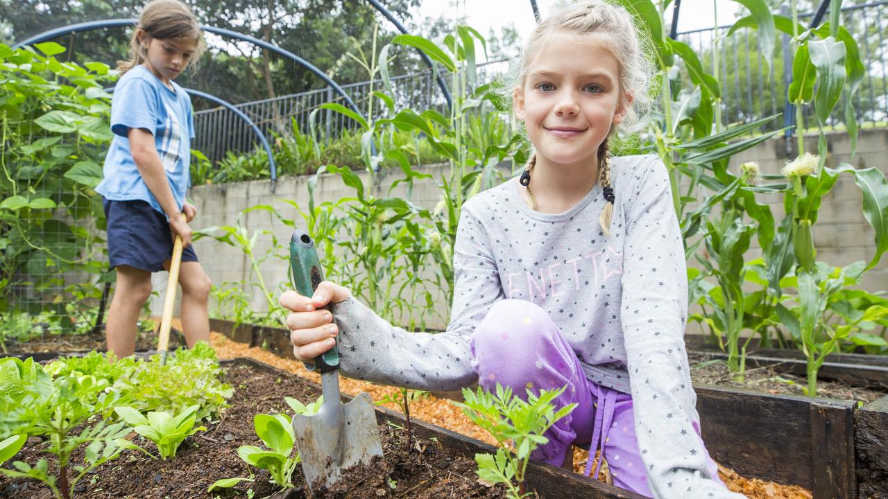 The River School at Maleny teaches naturalistic lifestyle | The Courier ...