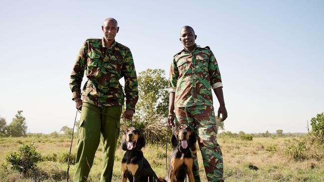 Anti-poaching duo with their dogs at Ol Pejeta Conservancy.