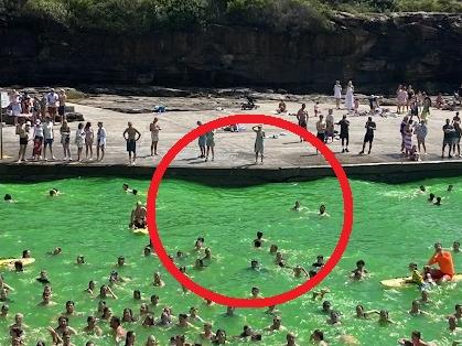 Bizarre site spotted at iconic Sydney beach