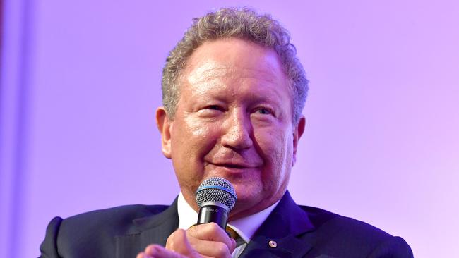 Andrew Forrest has build a significant portfolio of private investments. Picture: John Gass