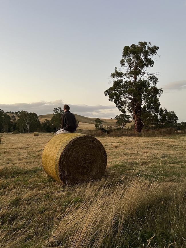 Ashton Curtis watching the sun go down in Taggerty on New Year’s Eve. Picture: Matthew Curtis, Somerville.