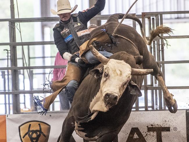 Toowoomba enjoys a bucking great time