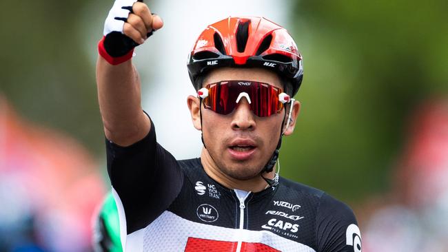 MURRAY BRIDGE, AUSTRALIA - JANUARY 24: Arrival / Caleb Ewan of Australia and Team Lotto-Soudal / Celebration / during the 22nd Santos Tour Down Under 2020, Stage 4 a 152,8km stage from Norwood to Murray Bridge / TDU / @tourdownunder / #UCIWT / on January 24, 2020 in Murray Bridge, Australia. (Photo by Daniel Kalisz/Getty Images)