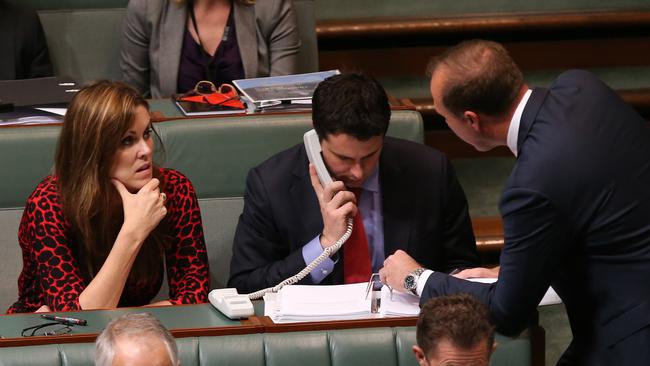 Peta Credlin, Tony Abbott's chief-of-staff, in Question Time in the House of Representatives Chamber, Parliament House. Picture: Kym Smith