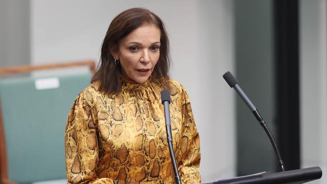 Labor MP Anne Aly. Picture: NCA NewsWire / Gary Ramage