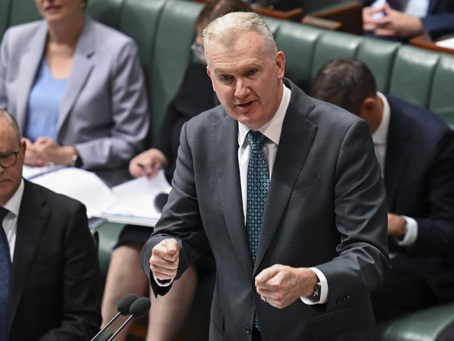 Leader of the House Tony Burke during Question Time at Parliament House in Canberra. Picture: Martin Ollman