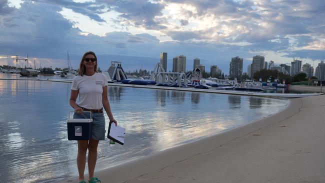 On Friday, non-for-profit organisation Surfrider Foundation volunteer Harry Gordon said they held their monthly “sampling event” where they test the water at several swimming locations on the Gold Coast. Photo: David Gonzalez – IDEXX.