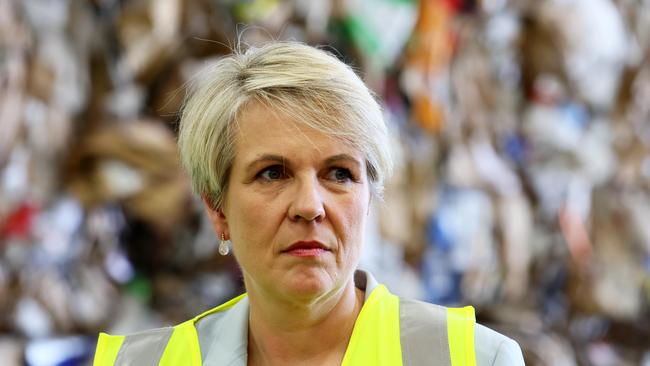 Minister for the Environment and Water Tanya Plibersek. Picture: Tertius Pickard/NCA NewsWire