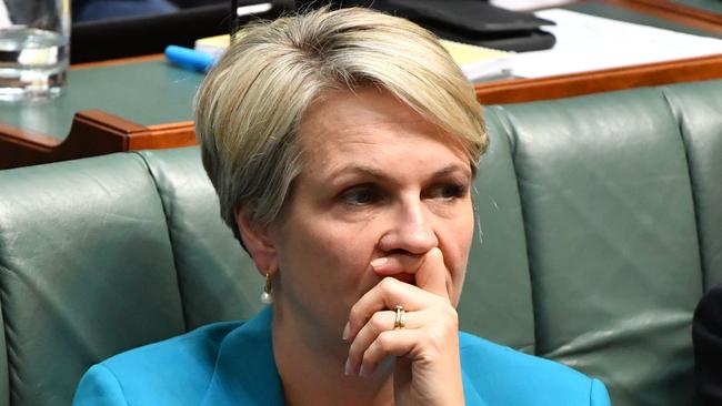 Environment Minister Tanya Plibersek received no independent heritage assessment of the blue-banded bee Dreaming given it was submitted to her department late. Picture: AAP Image/Mick Tsikas