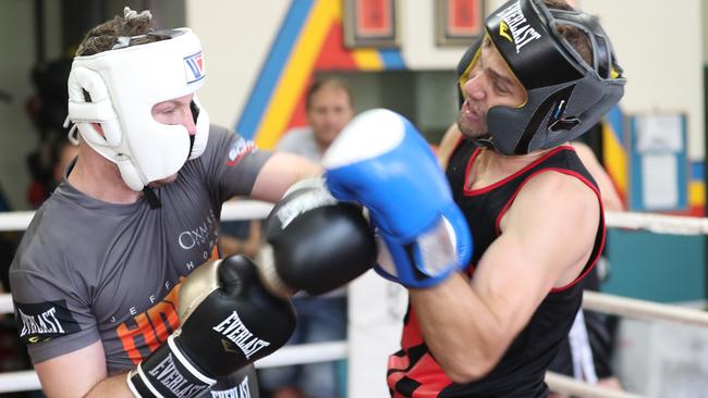 Jeff Horn (left) doesn’t hold back as he spars his brother Ben on Thursday. Pic Annette Dew