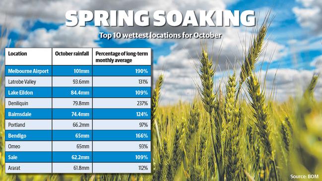 Rainfall graph for the month of October. Picture: Included