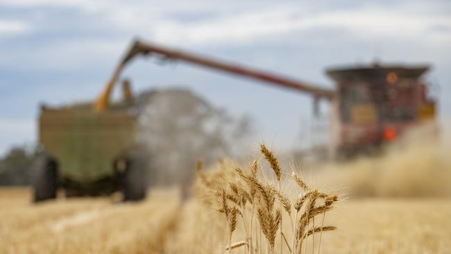 Australian wheat exports face an uncertain future under a Trump presidency, analysts say. Picture: Zoe Phillips