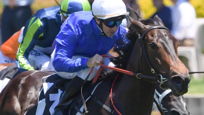 Athiri can bounce back to winning form in the Magic Night Stakes. Picture: AAP