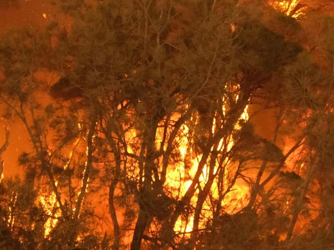 Bushfire arrives into the township of Malua Bay NSW, just south of Batemans Bay. Fires burning next to the beach on NYE.  Picture: Alex Coppel.