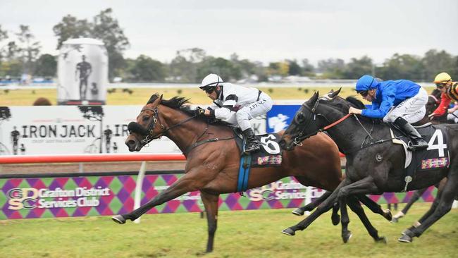 Peter and Paul Snowden's Signore Fox claimed the 2020 GDSC Ramornie Handicap. Picture: Adam Hourigan