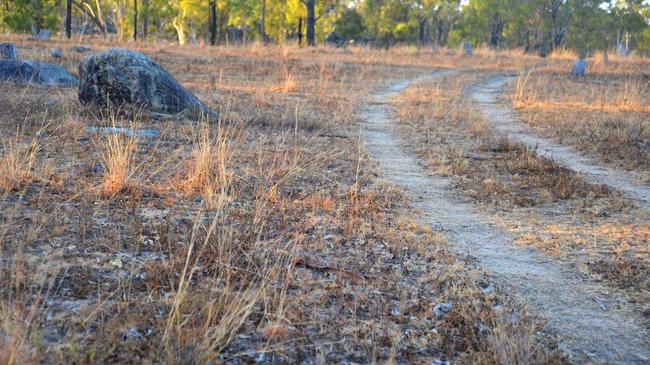 The dry grass at Greymare during one of the worst droughts in history. Picture: Gerard Walsh