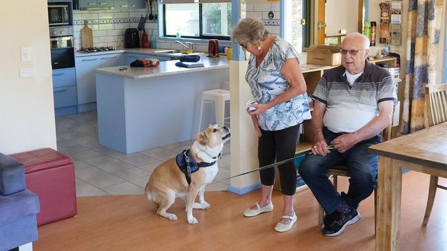 Jan and Lin Bell pose with Sophie the dog at Bells By The Beach Picture: Mark Wilson