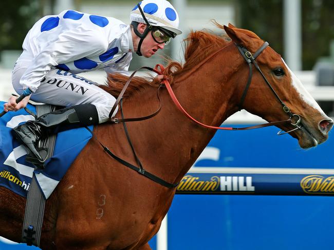 Memsie Stakes Day at Caulfield Racecourse, Race 6 - Dylan Dunn onboard Charmed Harmony easily wins the race. Melbourne. 29th August 2015. Picture: Colleen Petch.