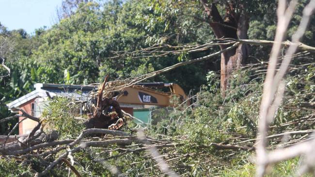 Some of the trees at the Atherton Arboretum have been destroyed. Picture: Supplied