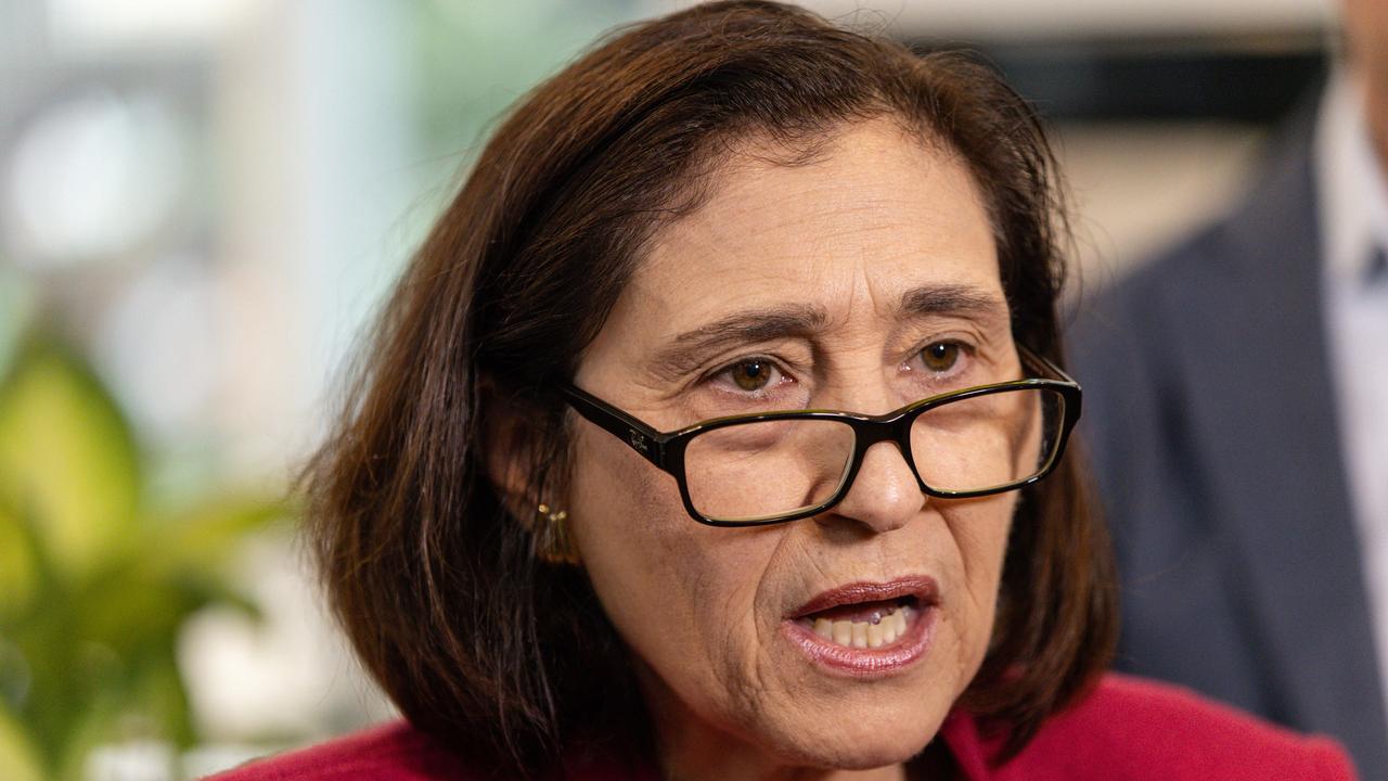 Victorian Minister for Energy and Resources Lily D'Ambrosio. Picture: Diego Fedele/NewsWire