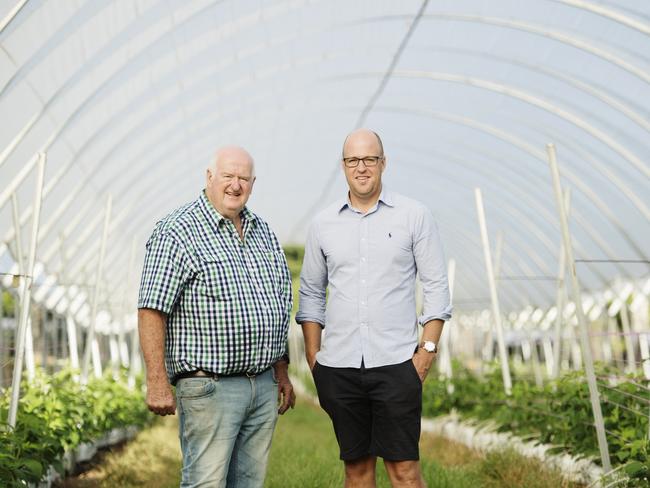 Ridley Bell, founder of Mountain Blue, pictured with his son and managing director Andrew Bell at the family run blueberry operation in Lindendale, near Lismore. Picture: Elise Derwin