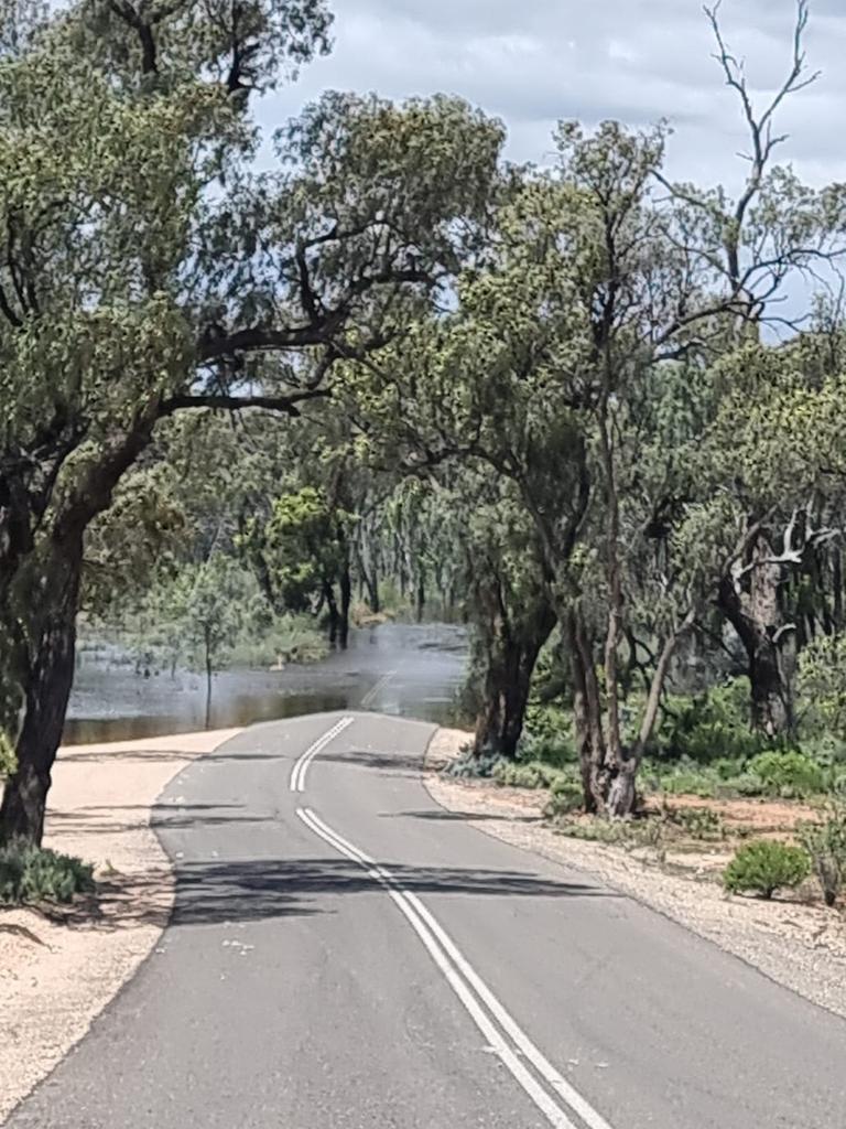 Flood water at Brenda Park near Morgan. Picture: Vicki Crawford.