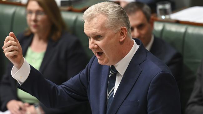 Tony Burke during Question Time at Parliament House. Picture: NCA NewsWire / Martin Ollman