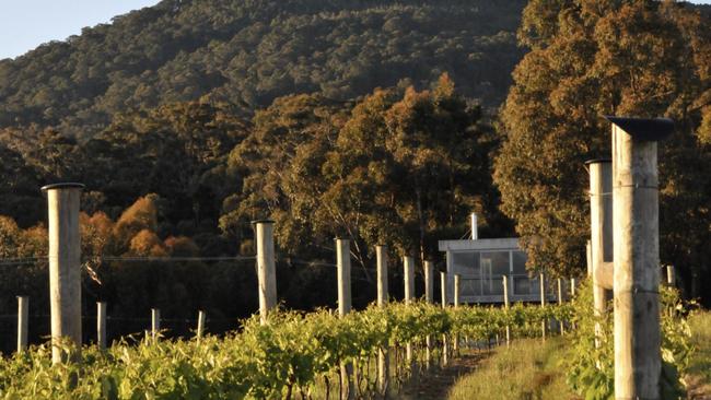 Mount Towrong in the Macedon Ranges