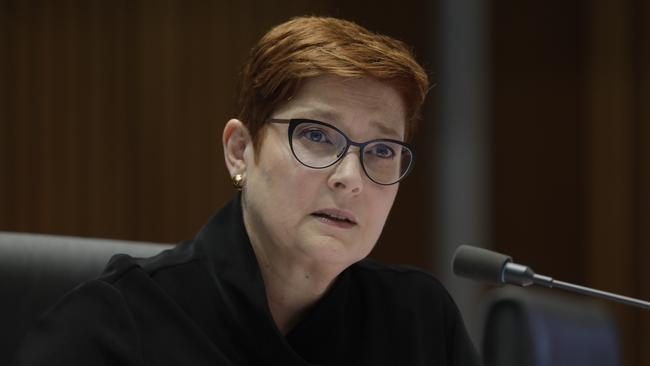 Minister for the Department of Foreign Affairs and Trade Marise Payne. Picture: Sean Davey