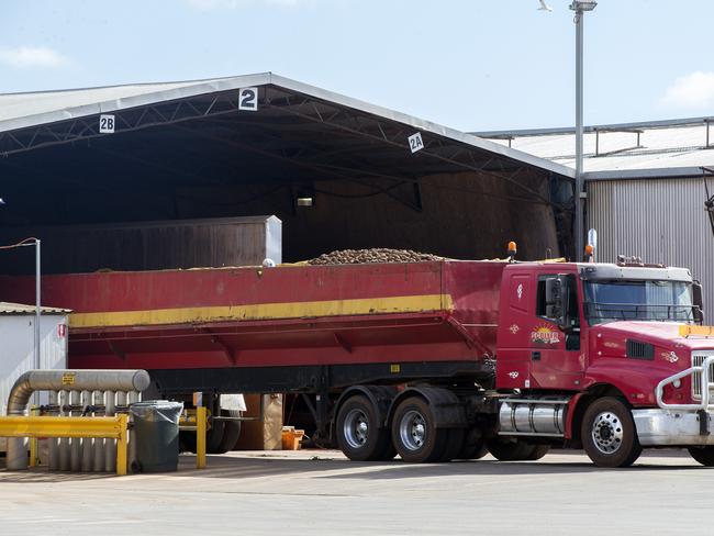 More spuds arrive. Picture: CHRIS KIDD