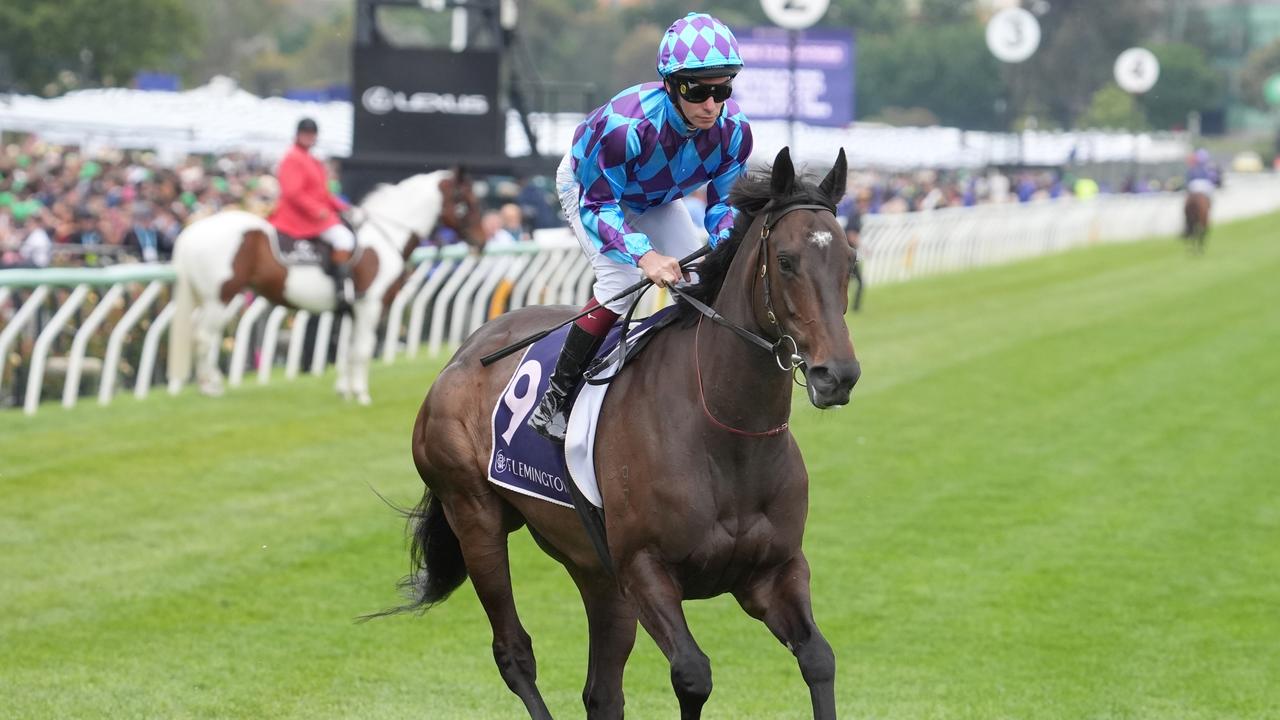 Pride Of Jenni before the Champions Mile last spring. Picture: Jay Town/Racing Photos via Getty Images