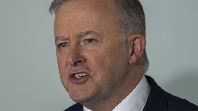 Leader of the Opposition, Anthony Albanese. Picture: NCA NewsWire / Martin Ollman