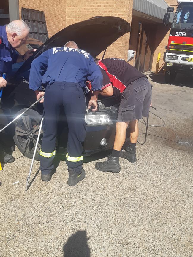 Firefighters and mechanics work to remove the snake from the car. Picture: Scott Condous