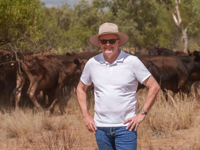 08-01-2024 - Prime Minister Anthony Albanese pictured on a cattle station in Lake Nash (Alpurrurulam) in the Northern Territory. Picture: PMO