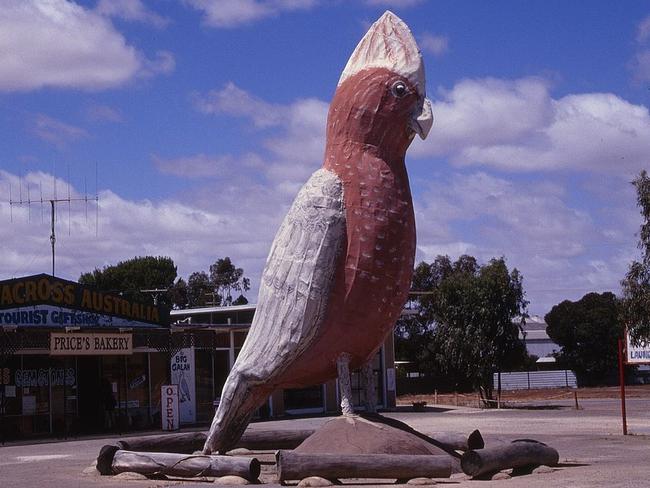 Kimba is the home of kindness and the Big Galah. Picture: Supplied