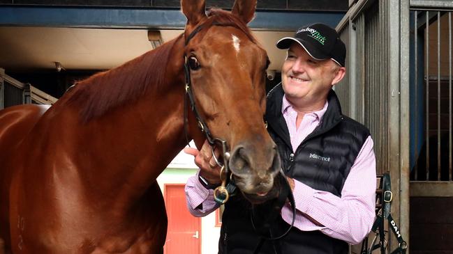 Trainer David Hayes is excited about Vega Magic’s spring return at Caulfield on Saturday. Picture: James Croucher