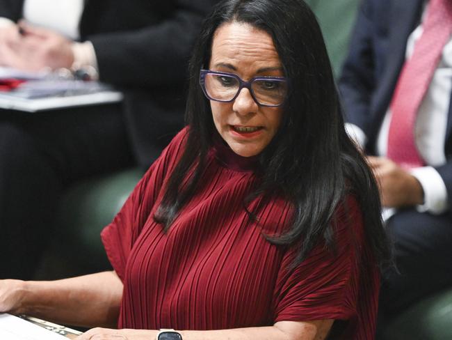 Indigenous Australians Minister Linda Burney also plans a review. Picture: NCA NewsWire