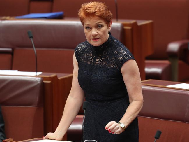 Mr Barilaro says The Nats are ‘under attack’ from the Shooters, Fishers and Farmers Party, independents and One Nation headed by Pauline Hanson (pictured). Picture: Kym Smith
